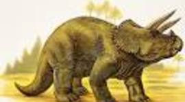 Timeline: The Age of the Dinosaurs