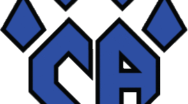 Timeline: Response to Pressure (Cali Jo)