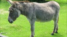 Timeline: what i learned this year :D