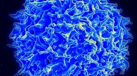 Timeline: Cancer Timeline