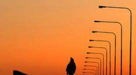 Timeline: Asignatura TIC 2012-2013