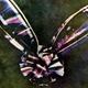 Tartan ribbon maxwell1861 ga