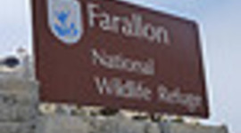 Timeline: The History of Farallon Islands