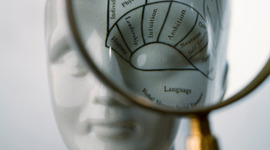 Timeline: Psicologia