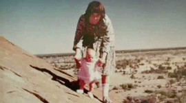 Timeline: A DINGO HAS GOT MY BABY’ Research task