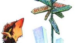 Timeline: Proyecto de Vida