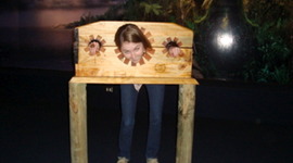 Timeline: Las Actividades de Maestra