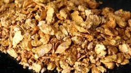 Timeline: Goldrush History