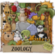 Cbg zoology preview