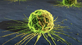 Timeline: History Of Cancer