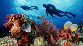 Timeline: History of Oceanography