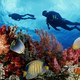 Coral reef scuba