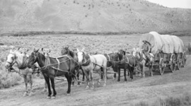 Timeline: Western Migration and Expansion