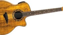 Timeline: The History of the Guitar