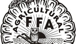 Timeline: Las Actividades de Rosa