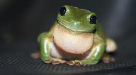 Timeline: Erica Sherman