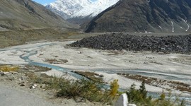 Timeline: This is a Primary Terrestrial succession. Dry river bed.  How it all began