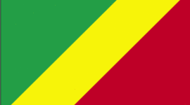 Timeline: belgian congo imperialism