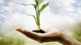 Timeline: Ecofeminist Utopian Science Fiction