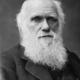 Darwin 1