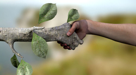 Timeline: Antecedentes Historicos de la Sociologia Ambiental.