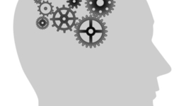 Timeline: History of Relevant and Applied Curriculum