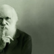 Darwin