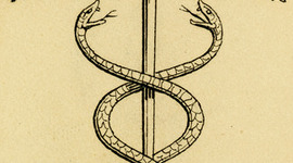 Timeline: UE7 Santé, société, humanité