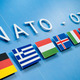 Nato billde