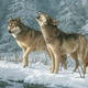 1166 call of the wild