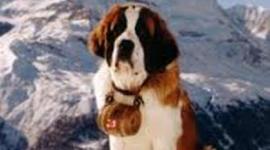 Timeline: The Call of the Wild