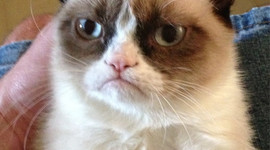 Timeline: My Personal Timeline