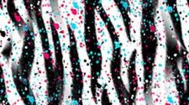 Timeline: Brandi's Life