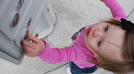 Timeline: Toddling Little Toddllers