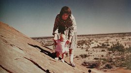 Timeline: A DINGOS GOT MY BABY