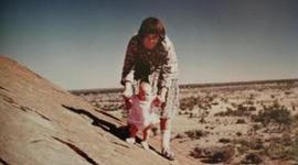 Timeline: A DINGO HAS GOT MY BABY-Social Factor