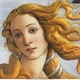 Birth of venus detail alessandro botticelli circa 1485 dcedit
