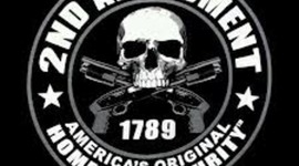 Timeline: DYLAN 2nd amendment