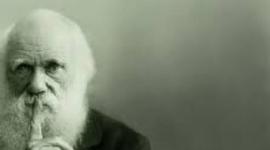 Timeline: 時間旅行