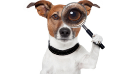 Timeline: 1974 Missing Females