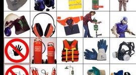 Timeline: Cronograma