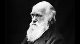 Timeline: Darwin