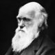Darwin