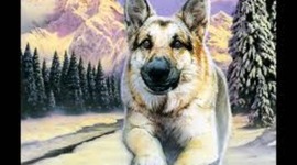 Timeline: Call of the Wild