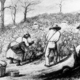Cotton pickers