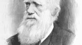 Timeline: Linea de tiempo de Darwin