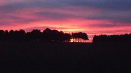 Timeline: Historia de mi vida