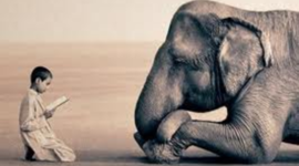 Timeline: Drew's Reading Log 2013