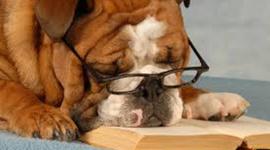 Timeline: 2013 Reading log