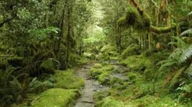 Timeline: My Life Through History